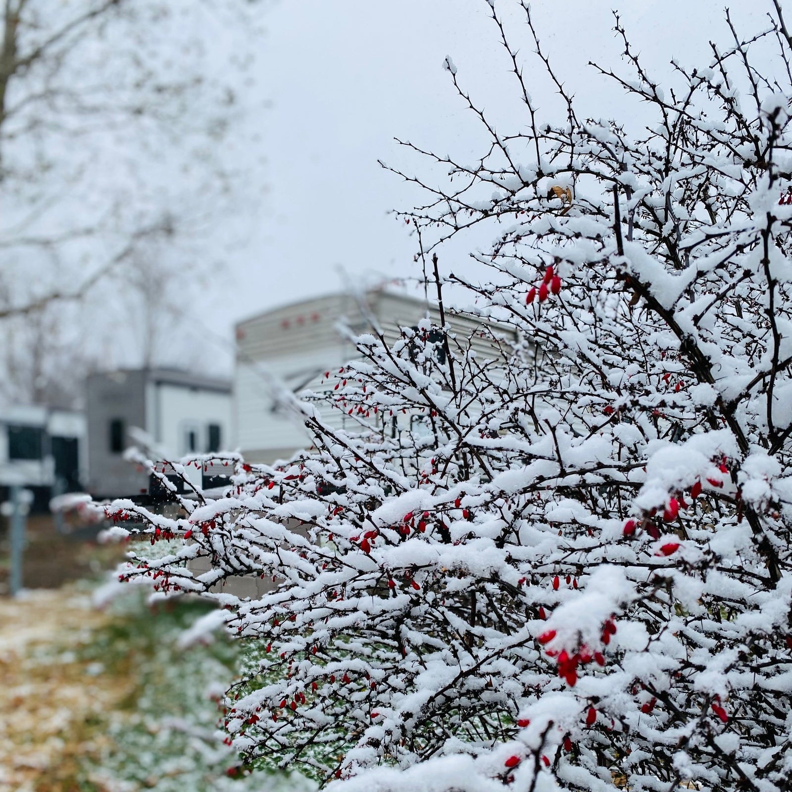 Mid-Winter RV Check: 7 Simple Things Every Camper Should Do Before Spring