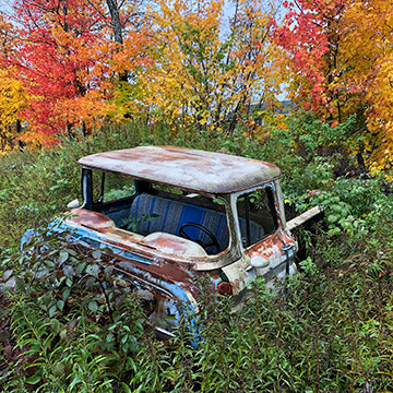 old vintage truck damaged and missing parts, rusty, trees and weeds growing up around it. taken during the fall, leaves are red, orange , and yellow