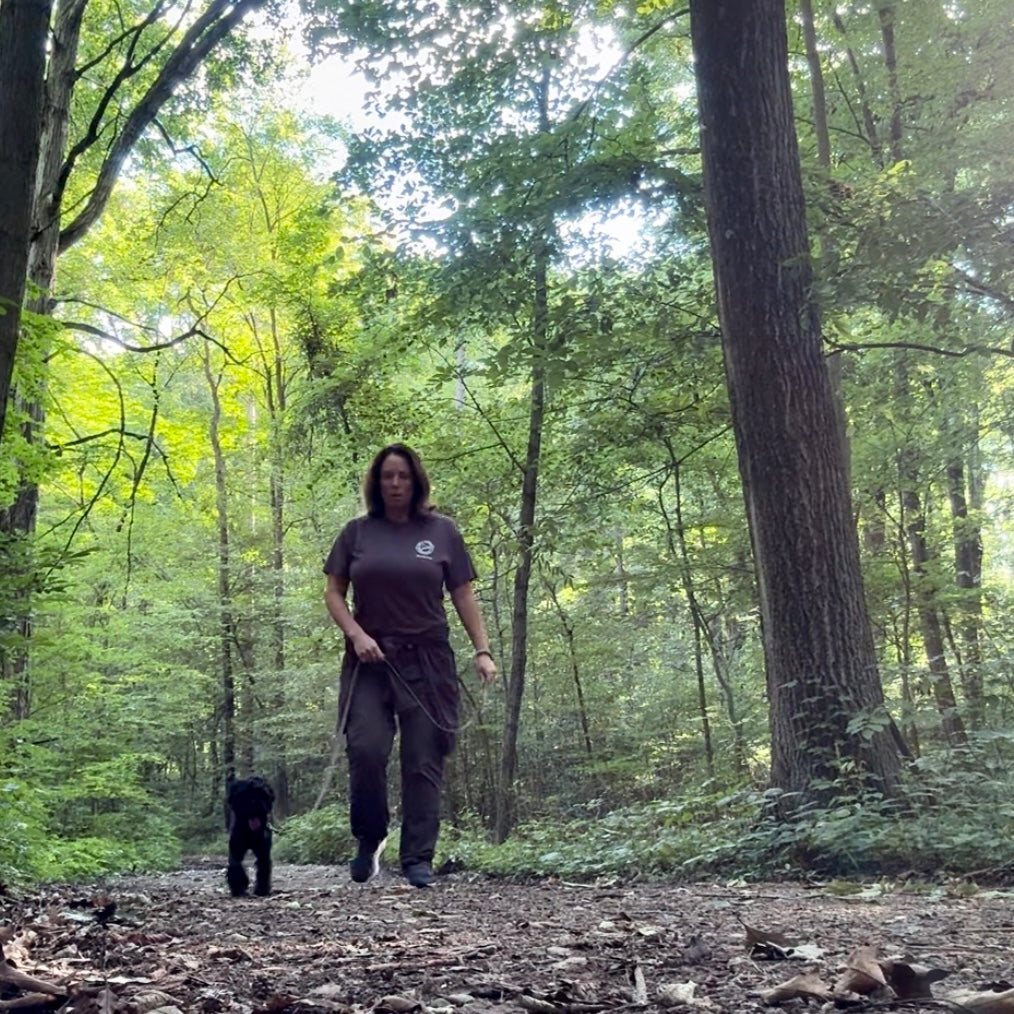 The Endless Adventure of Being A Campground Owner