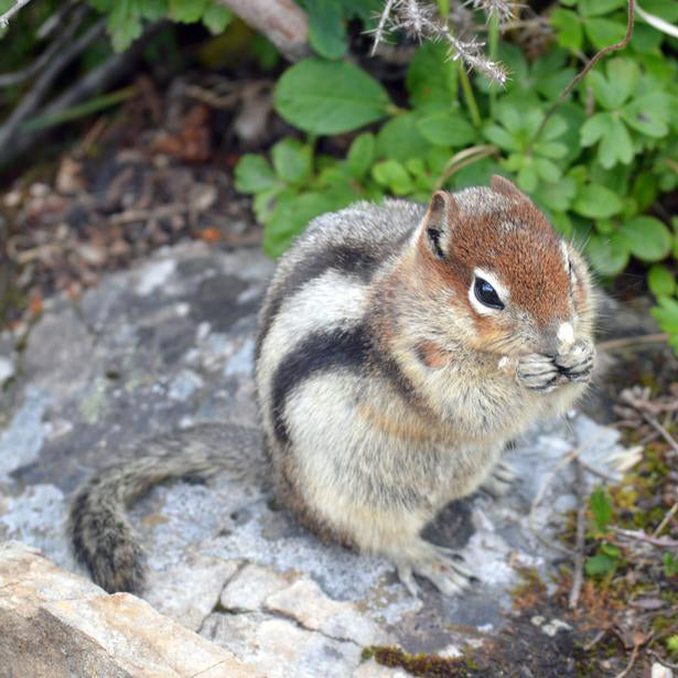 Don't Forget This When Winterizing Your RV