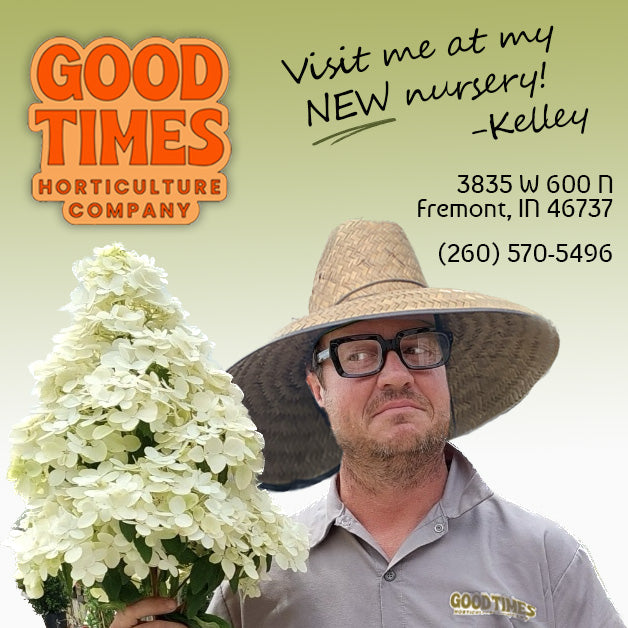 Good Times are Blooming