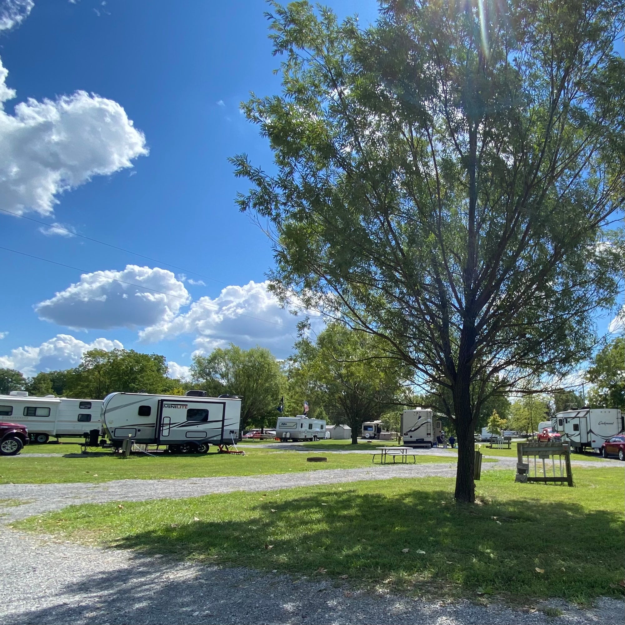 overview of pull thru sites at happy acres. shows ~5 rvs and a large tree