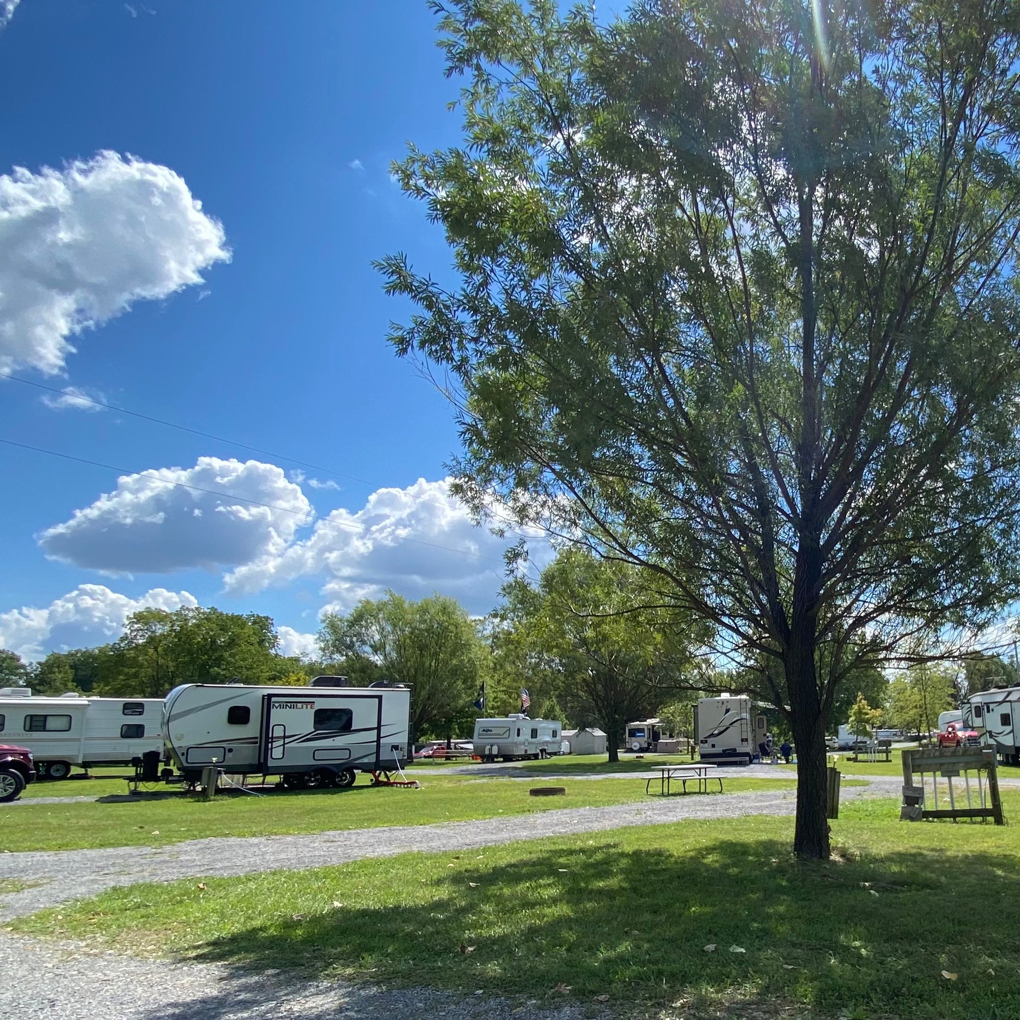 overview of the pull thru rv sites at happy acres campground. shows 4 rvs
